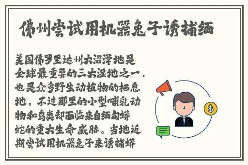 麻花豆传媒剧国产MV